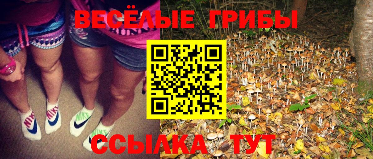 Псилоцибиновые грибы мухоморы  Вход с VPN  Зеленокумск 