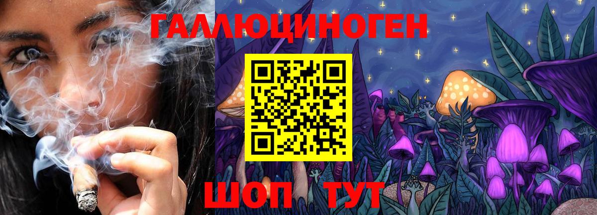 Псилоцибиновые грибы Psilocybine cubensis Зеленокумск